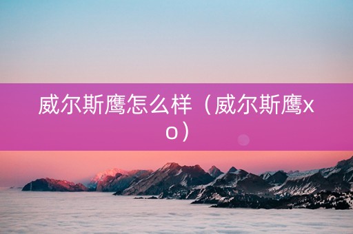 威尔斯鹰怎么样（威尔斯鹰xo）