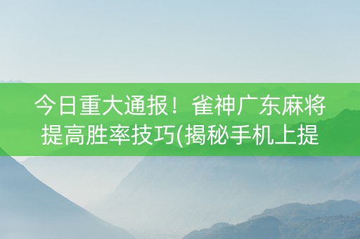 今日重大通报！雀神广东麻将提高胜率技巧(揭秘手机上提高胜率)