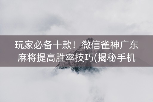 玩家必备十款！微信雀神广东麻将提高胜率技巧(揭秘手机上输赢规律)