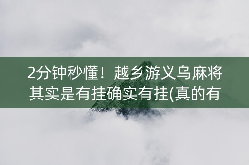 2分钟秒懂！越乡游义乌麻将其实是有挂确实有挂(真的有挂)