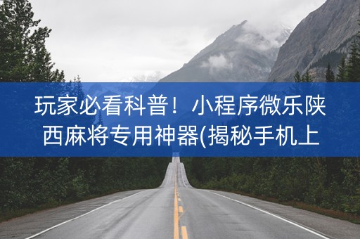 玩家必看科普！小程序微乐陕西麻将专用神器(揭秘手机上攻略插件)