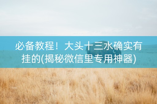 必备教程！大头十三水确实有挂的(揭秘微信里专用神器)