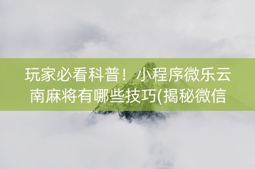 玩家必看科普！小程序微乐云南麻将有哪些技巧(揭秘微信里提高胜率)