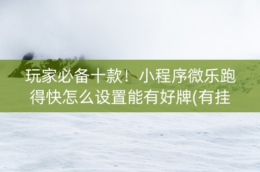 玩家必备十款！小程序微乐跑得快怎么设置能有好牌(有挂技巧辅助器)