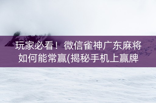 玩家必看！微信雀神广东麻将如何能常赢(揭秘手机上赢牌技巧)