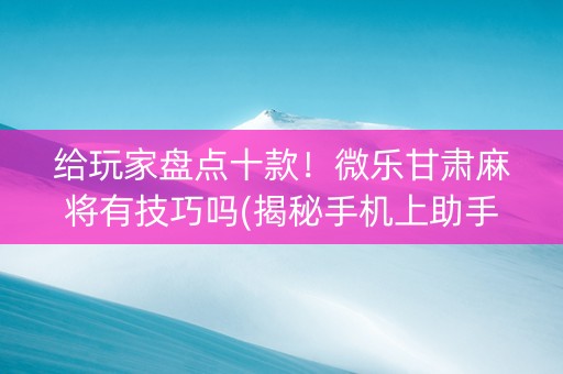 给玩家盘点十款！微乐甘肃麻将有技巧吗(揭秘手机上助手软件)