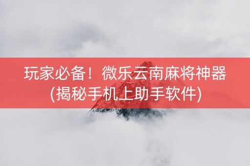 玩家必备！微乐云南麻将神器(揭秘手机上助手软件)