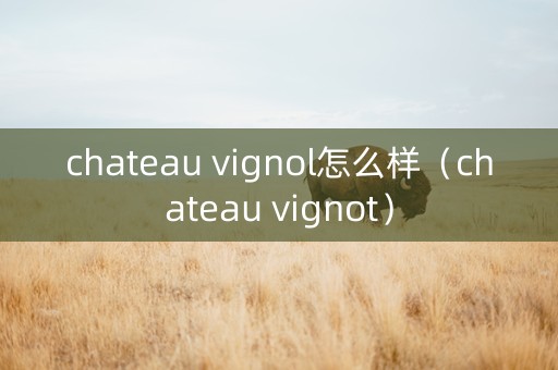 chateau vignol怎么样（chateau vignot）