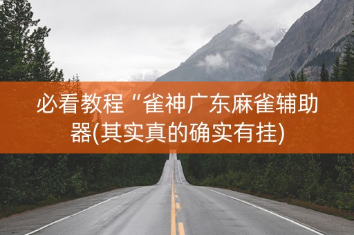 必看教程“雀神广东麻雀辅助器(其实真的确实有挂)