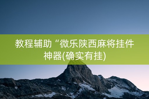 教程辅助“微乐陕西麻将挂件神器(确实有挂)