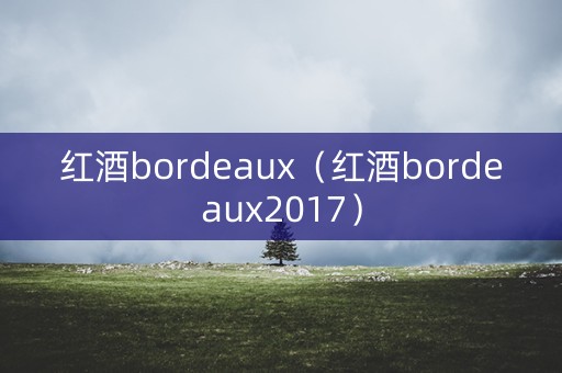 红酒bordeaux（红酒bordeaux2017）