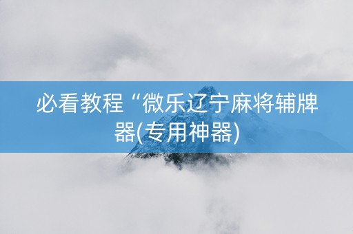 必看教程“微乐辽宁麻将辅牌器(专用神器)