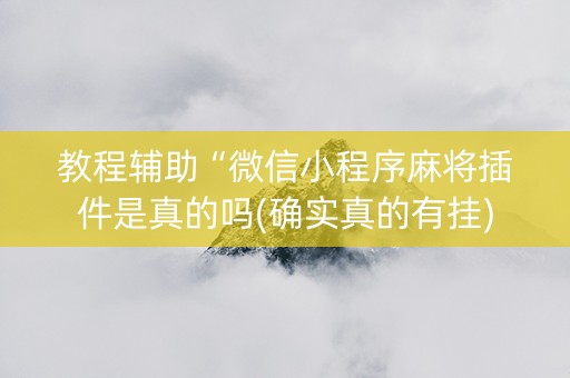 教程辅助“微信小程序麻将插件是真的吗(确实真的有挂)