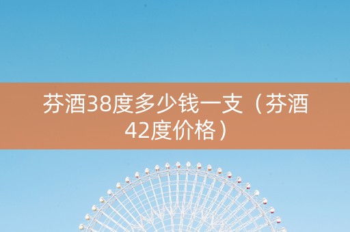 芬酒38度多少钱一支（芬酒42度价格）