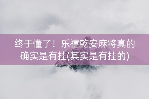 终于懂了！乐禧乾安麻将真的确实是有挂(其实是有挂的)