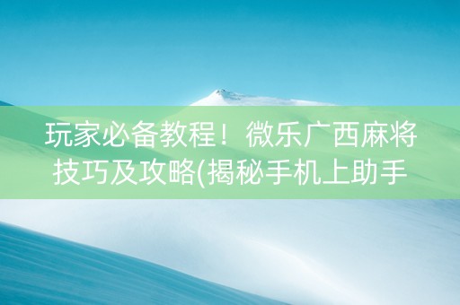 玩家必备教程！微乐广西麻将技巧及攻略(揭秘手机上助手软件)