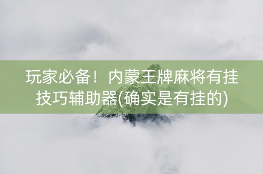 玩家必备！内蒙王牌麻将有挂技巧辅助器(确实是有挂的)