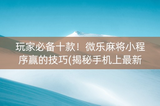 玩家必备十款！微乐麻将小程序赢的技巧(揭秘手机上最新神器下载)