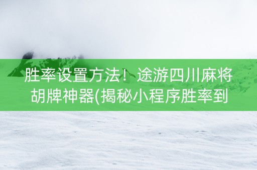 胜率设置方法！途游四川麻将胡牌神器(揭秘小程序胜率到哪调)