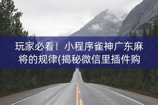 玩家必看！小程序雀神广东麻将的规律(揭秘微信里插件购买)