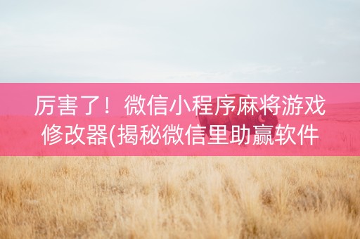 厉害了！微信小程序麻将游戏修改器(揭秘微信里助赢软件)