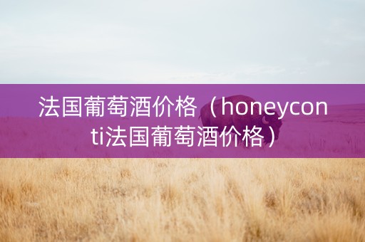 法国葡萄酒价格（honeyconti法国葡萄酒价格）