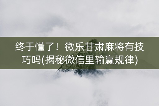 终于懂了！微乐甘肃麻将有技巧吗(揭秘微信里输赢规律)