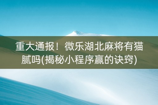 重大通报！微乐湖北麻将有猫腻吗(揭秘小程序赢的诀窍)