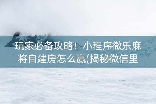 玩家必备攻略！小程序微乐麻将自建房怎么赢(揭秘微信里提高胜率)