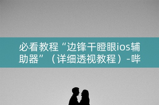 必看教程“边锋干瞪眼ios辅助器”（详细透视教程）-哔哩哔哩