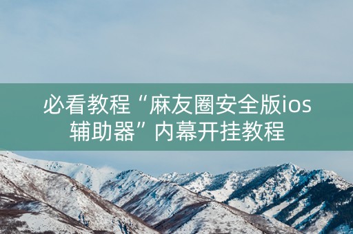 必看教程“麻友圈安全版ios辅助器”内幕开挂教程