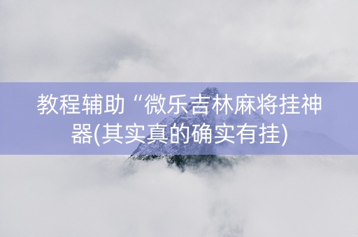 教程辅助“微乐吉林麻将挂神器(其实真的确实有挂)