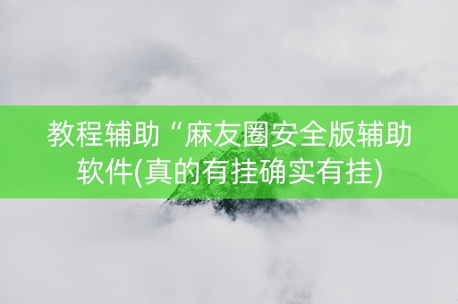 教程辅助“麻友圈安全版辅助软件(真的有挂确实有挂)