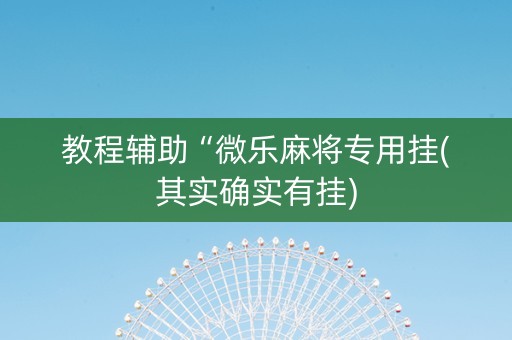 教程辅助“微乐麻将专用挂(其实确实有挂)