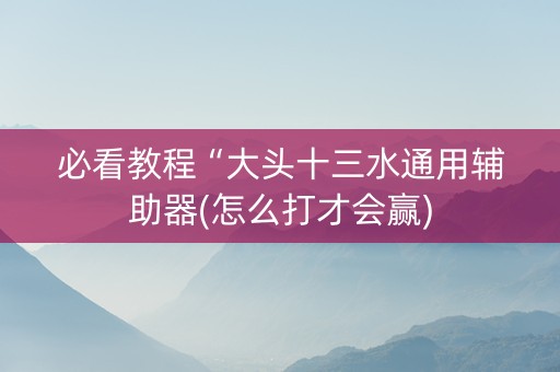 必看教程“大头十三水通用辅助器(怎么打才会赢)