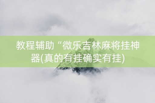 教程辅助“微乐吉林麻将挂神器(真的有挂确实有挂)