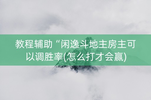 教程辅助“闲逸斗地主房主可以调胜率(怎么打才会赢)