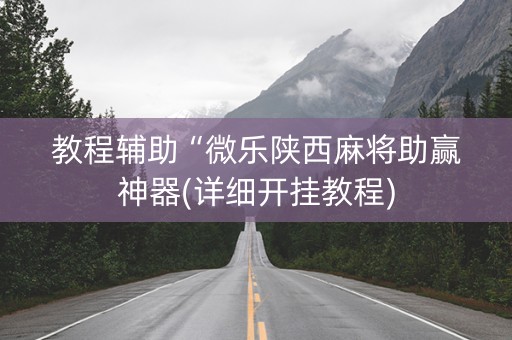 教程辅助“微乐陕西麻将助赢神器(详细开挂教程)