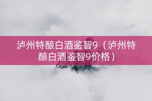 泸州特酿白酒鉴智9（泸州特酿白酒鉴智9价格）