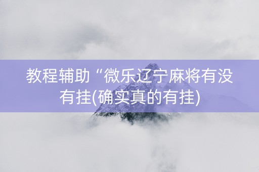 教程辅助“微乐辽宁麻将有没有挂(确实真的有挂)