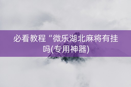 必看教程“微乐湖北麻将有挂吗(专用神器)