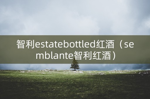 智利estatebottled红酒（semblante智利红酒）