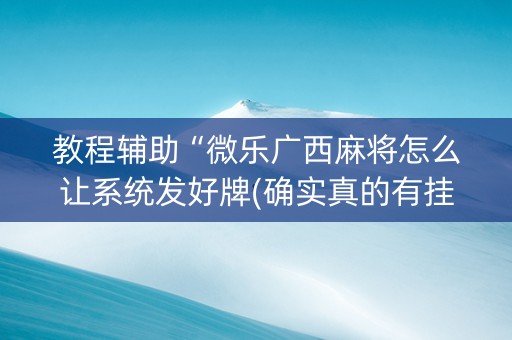 教程辅助“微乐广西麻将怎么让系统发好牌(确实真的有挂)