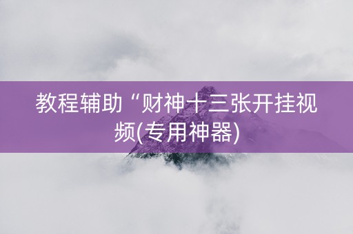 教程辅助“财神十三张开挂视频(专用神器)