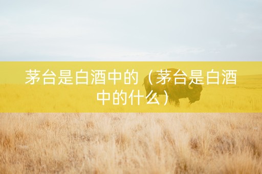 茅台是白酒中的（茅台是白酒中的什么）