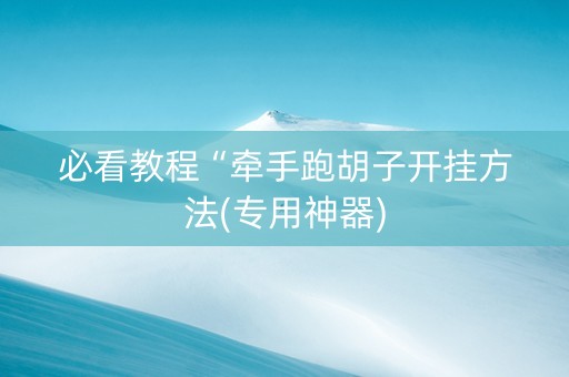 必看教程“牵手跑胡子开挂方法(专用神器)