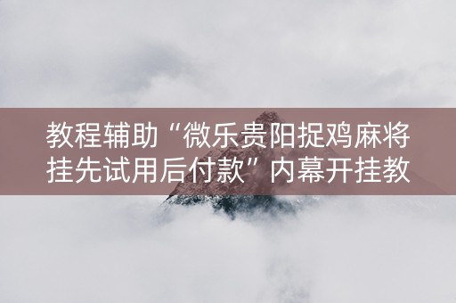 教程辅助“微乐贵阳捉鸡麻将挂先试用后付款”内幕开挂教程