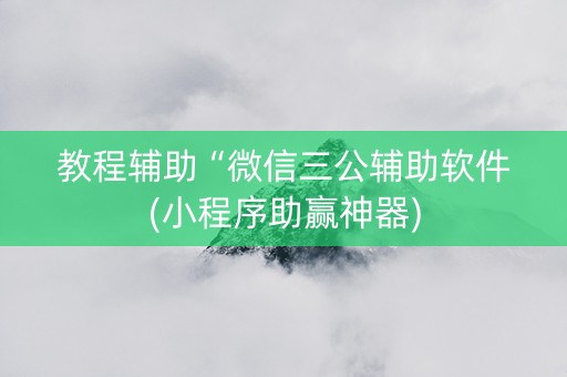 教程辅助“微信三公辅助软件(小程序助赢神器)