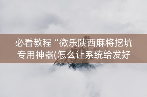 必看教程“微乐陕西麻将挖坑专用神器(怎么让系统给发好牌)