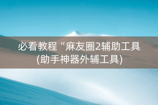 必看教程“麻友圈2辅助工具(助手神器外辅工具)